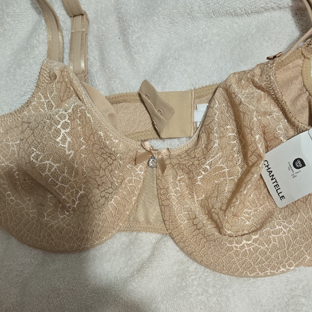 Chantelle Lace Bra - Cream